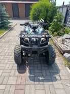 Grizzly 250. ��������, ��� ���\���, �� ����