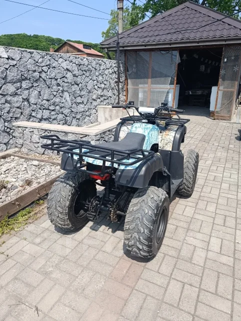 Grizzly 250. ��������, ��� ���\���, �� ����