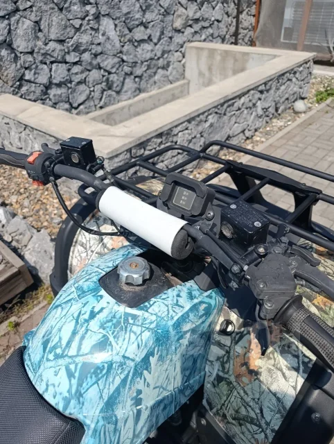 Grizzly 250. ��������, ��� ���\���, �� ����