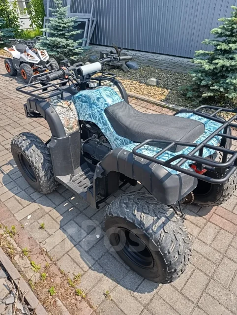 Grizzly 250. ��������, ��� ���\���, �� ����