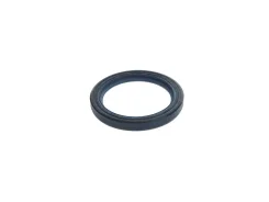 ������� ����������� ���� �������� Renault [135109470R] 135109470R ����