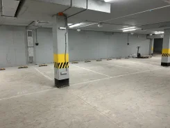 ����� �����������. ����