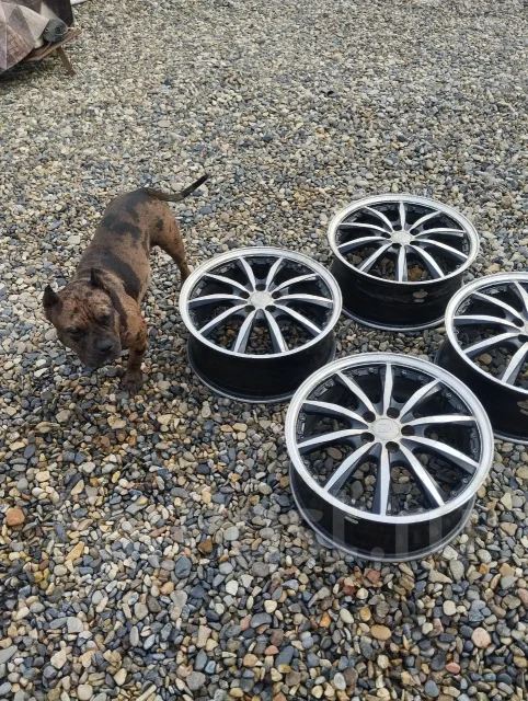 MK Motorsport. 7.0x17", 5x100 ����