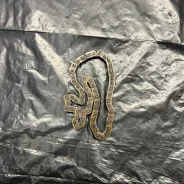 ���� ��������� ������, GLK, M272, A0009930776 A0009930776 ����