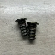 ������ VVT-i, ������ ��������� ��� ���, Q5, CNCD, 06L109257F 06L109257F ����