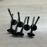 ������ ��������, Q5, CNCD, 06L109601 06L109601 ����