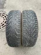 Tigar Ice. ������, ����������, 2021 ���, �/�, ����� 40 % ����
