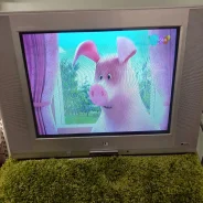 LG ����