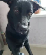 ������. ����