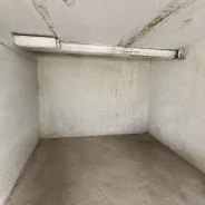 ������ �����������. ����