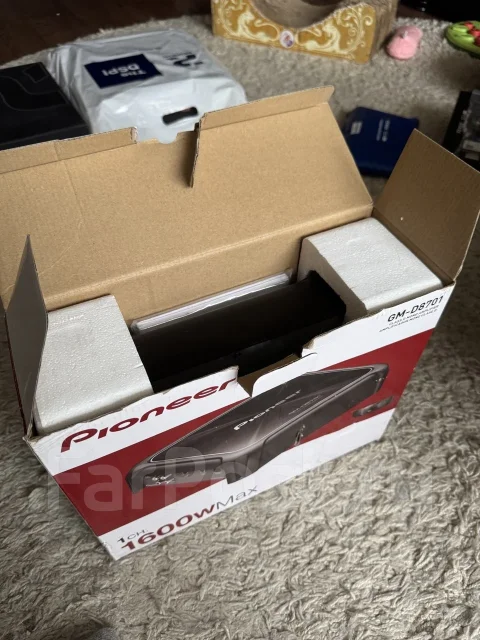 Pioneer ����