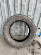 Cordiant Polar 2