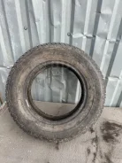 Bridgestone Winter Radial WT-17