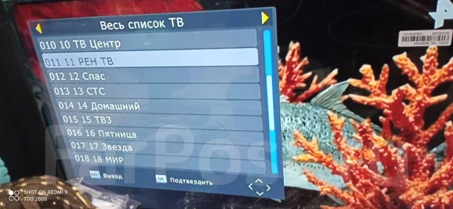 ������ ����