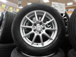Manaray Sport Smart