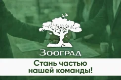 ���������� ������ ������������. �� ��������� �.�. ����� ����������� 106� ����