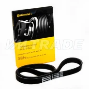 ������ 865 5PK BMW, Honda, Isuzu, Leyland, Mitsubishi, Toyota [5PK865] 11281437450 ����