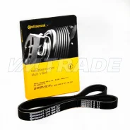 ������ 1008 5PK BMW, Chevrolet, Citroen, Peugeot, FIAT, FORD, Mazda, OPEL, Toyota [5PK1008] 11287636376 ����