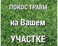 ������ ������ �����. ����