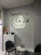 ���������. ����