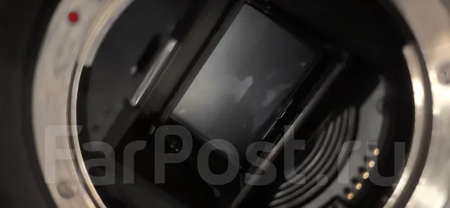 Canon EOS-1D X Mark II. 20 � ����� ��, ���: ��� ���� ����
