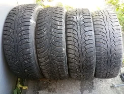 Triangle WinterX TW401. ������, ����������, 2017 ���, �/�, ����� 40 % ����