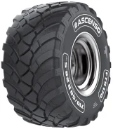 Ascenso FTR 170