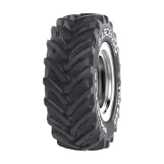 Ascenso TDR 650
