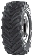 Ascenso XLR 880