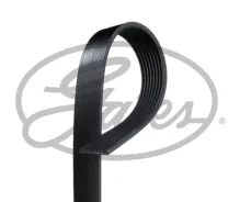 ���� �� ��) 8pk1500 ������ ������� 8pk1500 Gates Gates 8pk1500 8PK1500 ����