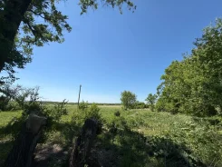 ��������, 28 ����� ������� ��� ��� � ������������ ������. 28.1����., ��� ��������������� ��������� �������������, ������, ������������� ����