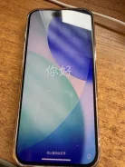 Apple iPhone 16 Pro Max. �����, 256 ��, �������, �������, 4G LTE, Dual-SIM, ������� ������� ����