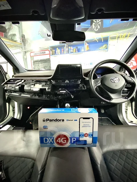 ������������. ��� ����� ����ͨ�. ���������� ����, ����������� ��������� �����, ���������, ����� �������������� 1�/1 ����