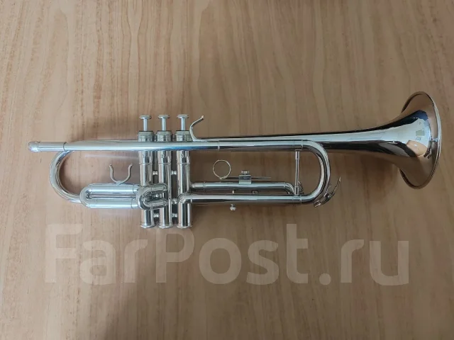 �����. ����