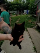 �����. ����