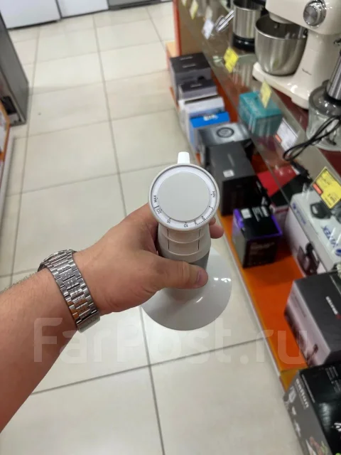 ��������. ����