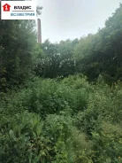 ������ ��������� ������� �. ������. 8����., ����� ���������� �������, ������, �������������. ���� ������� ����