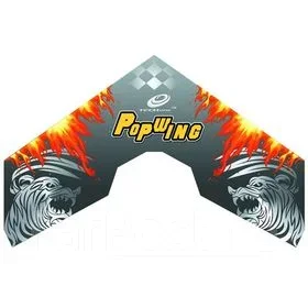 ������� Techone Popwing-900 EPP COMBO ����
