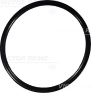 ������ �������������� Victor Reinz 407615000 407615000 ����