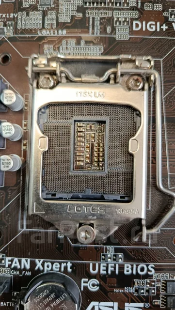 H81 ����