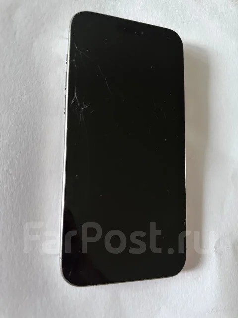 Apple iPhone 15 Pro Max. �/�, 1 ��, ����� ����