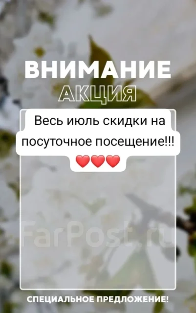 ����. ����