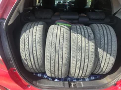 Fortuna Ecoplus UHP. ������, 2021 ���, �/�, ����� 30 % ����