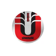 ���� ������������ ������ DVD+RW UMNIK 4.7 Gb (50 �� �� ��������) ����