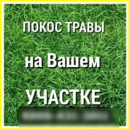 ������ ������ �����. ����