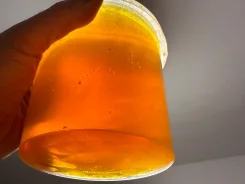 ���, ������� ��������. ����