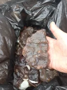 ���������. ����