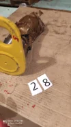 ����� SDLG 4043000011 4043000011 ����