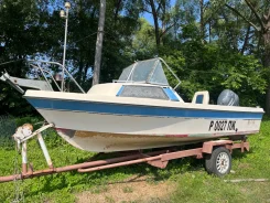 Yamaha Fish 17. 1995 ���, ����� 5,1��., ��������� ���������, 50��.�., ������ ����