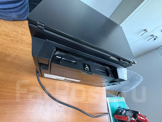 ��� ��������. ����